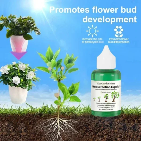 EcoGardenMart™ Plant Resurrection Liquid – Powerful, Eco-Friendly Formula to Revive Plants! [2+1 FREE]