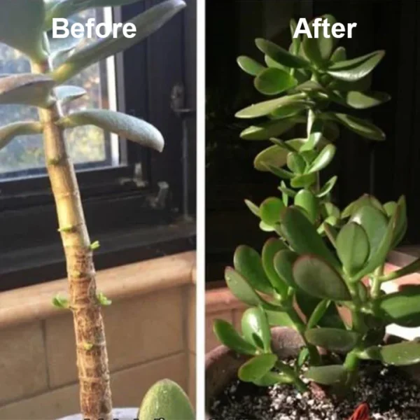 EcoGardenMart™ Plant Resurrection Liquid – Powerful, Eco-Friendly Formula to Revive Plants! [2+1 FREE]