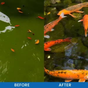 LIMETOW® Premium Pond Care Powder