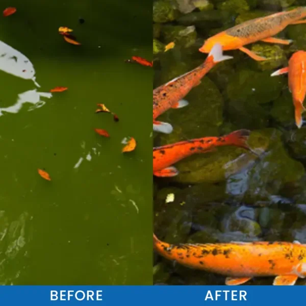 LIMETOW® Premium Pond Care Powder