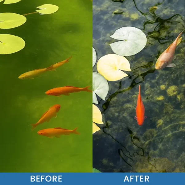 LIMETOW® Premium Pond Care Powder