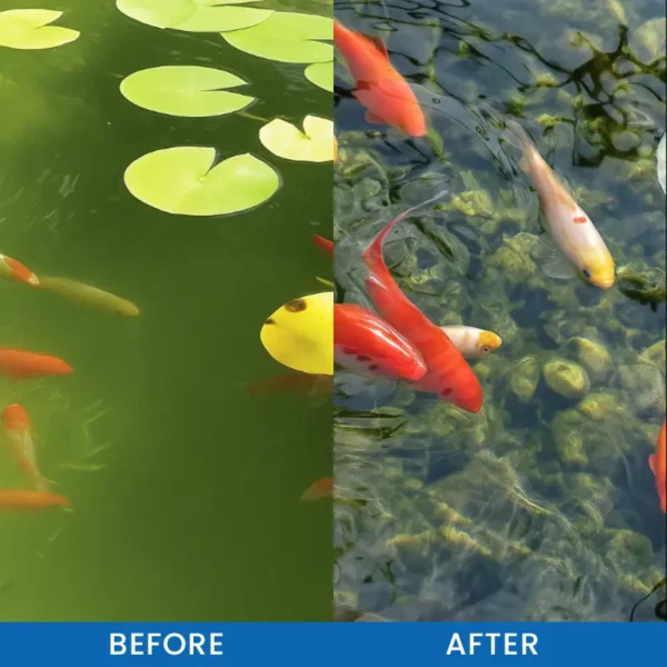 LIMETOW® Premium Pond Care Powder