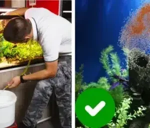AEXZR® Aquariums Aqua-Guardian Blend