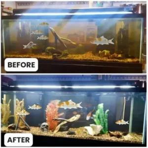 AEXZR® Aquariums Aqua-Guardian Blend