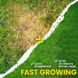 AEXZR® Green Lawn Grass Sunny Spray