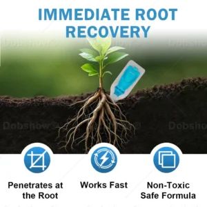 🏆Official Store | AAFQ® GrowBack Miracle Tonic