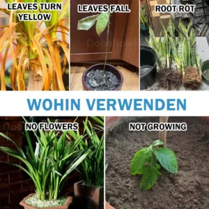 🏆Official Store | AAFQ® GrowBack Miracle Tonic