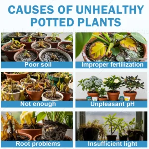 🏆Official Store | AAFQ® GrowBack Miracle Tonic