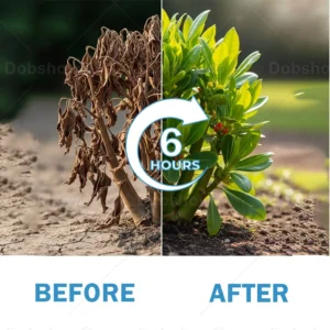 🏆Official Store | AAFQ® GrowBack Miracle Tonic